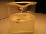 exp6